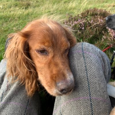 Profile Picture of MARK EWART (@Ewart2Mark) on Twitter