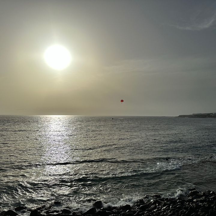 Adam dowdy - Tiktok Profile Picture of Adam dowdy (@adamdowdy) on Tiktok