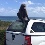 Profile Picture of Jason Shaughnessy (@jasonshocks) on Instagram