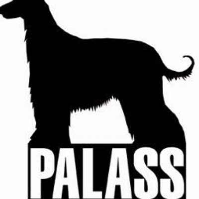 Profile Picture of Palass (@palasspalass) on Twitter