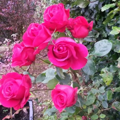 Profile Picture of Rita Casey (@vengefulnan94) on Twitter