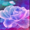 Profile Picture of Jingersoll (@_jingersoll) on Tiktok