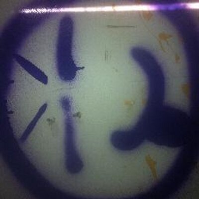 Profile Picture of Devon Fischer (@fischer3434) on Twitter