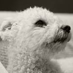 Profile Picture of David (@david_mclachlan2000) on Instagram