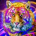 Profile Picture of Kevin Padgett (@kevin.padgett.587) on Facebook