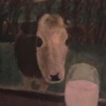 Lynn Lennon - Instagram Profile Picture of Lynn Lennon (@cushiedoos.16) on Instagram