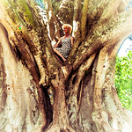 Dani Taylor - Flickr Profile Picture of Dani Taylor (@DaniDee7) on Flickr