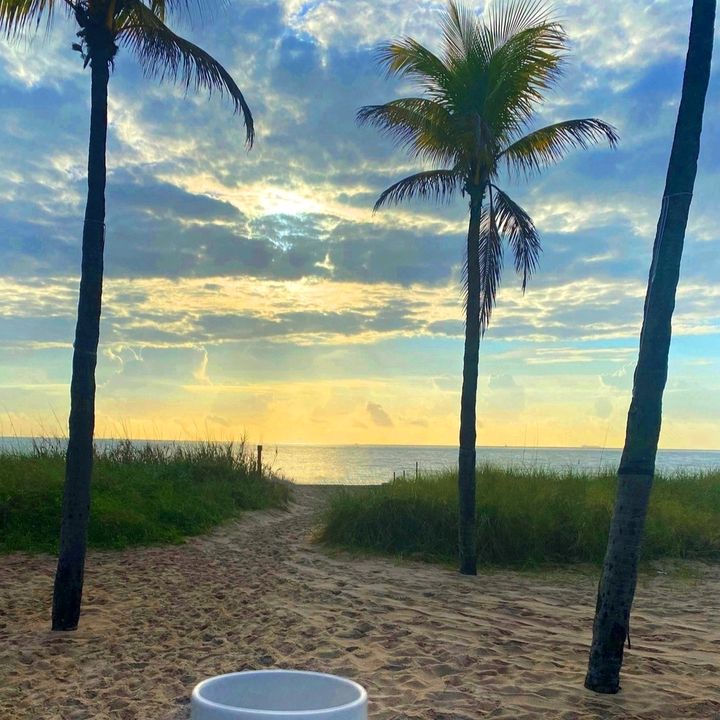 Profile Picture of Sandy (@blackstorm2701) on Tiktok