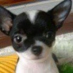 Profile Picture of Walt Wagner (@wagnerwalt) on Instagram