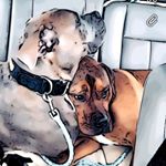 Profile Picture of Crystal & Kevin Enloe (@2ndchance_3e_ranch) on Instagram