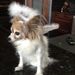 Profile Picture of Cheryl Moen-Taillon (@simone58765) on Pinterest