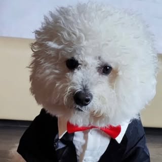 Profile Picture of Alex Tong (@alex_tong) on Instagram