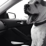 Profile Picture of Terry Grider (@tgrider1987) on Instagram