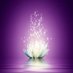Profile Picture of Ananta Nath (@anantanath20) on Twitter