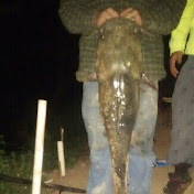 Profile Picture of Dillon Phillips (@dillonphillips5211) on Youtube