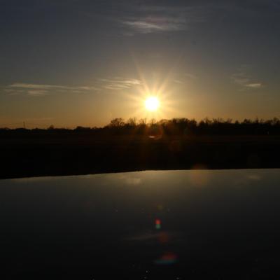 Profile Picture of Randell Cavin (@RandyC09) on Twitter