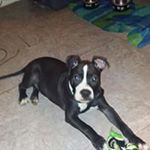 Patrick Villarreal - Instagram Profile Picture of Patrick Villarreal (@villarreal.patrick) on Instagram