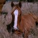 Profile Picture of Gina Stapleton (@gbannan) on Pinterest