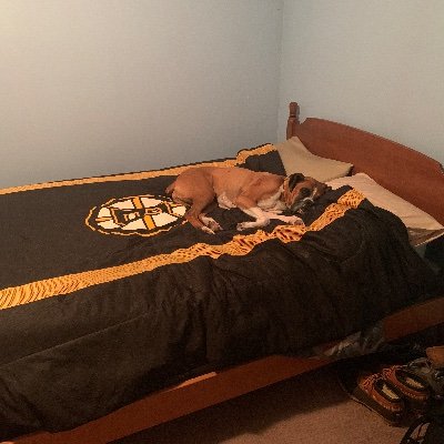 Profile Picture of Peter J McConnell (@PeterJMcConnel1) on Twitter