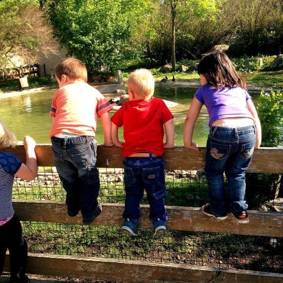 Profile Picture of Dawn Muessman (@deltadawn634) on Poshmark