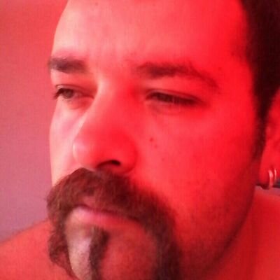 Profile Picture of Michael Schröter (@53f9530124c2487) on Twitter