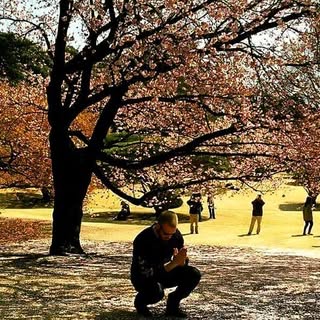 Profile Picture of Steve Putz (@steveputz) on Instagram