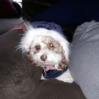 Profile Picture of Paula Gabbard (@PaulaGabbard) on Twitter