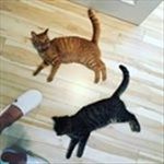 Profile Picture of Bobun/越南菜 & Pookie (@baboun_poskie) on Instagram