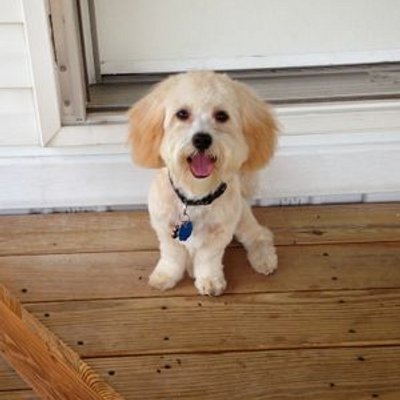 Profile Picture of Dylan Corley (@DerekCorley) on Twitter