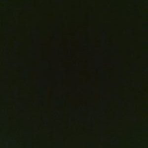 Profile Picture of Travis Handy (@TravisHandy1) on Twitter