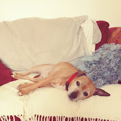 Caroline Ball - Youtube Profile Picture of Caroline Ball (@carolineball2236) on Youtube