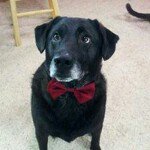 Profile Picture of Timothy Sweezey (@tim.untethered) on Instagram