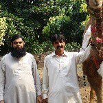 Profile Picture of jamshaid cheema (@jamshaidaslam82) on Instagram