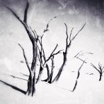 Profile Picture of Calla Johnson (@calla_breeann) on Instagram