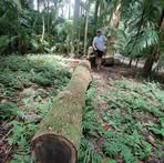 Profile Picture of Josef Jelínek (@Josef-Jelínek) on Facebook