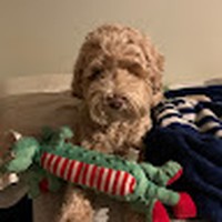Profile Picture of James Kropf (@james-kropf-10) on Quora
