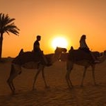 Profile Picture of 🇩🇪/ 🇭🇷 (@patrick_hick) on Instagram