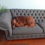 Profile Picture of John J. McNiff (@john_j_mcniff) on Instagram