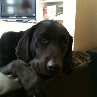 Profile Picture of Steve Parks (@swparks0408) on Twitter