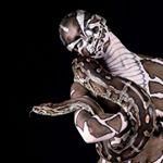 Profile Picture of laurence bates (@bates7488sj) on Instagram