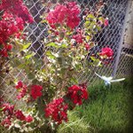 Profile Picture of Timothy Cochran (@peopolex) on Instagram