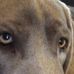 Profile Picture of Christopher Fogle (@christopher.fogle.52) on Facebook