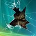 Profile Picture of Lisa Prough-Sallet (@zombielvr77) on Pinterest