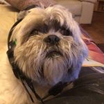 Profile Picture of Roñnë (@aaron_tunstall) on Instagram