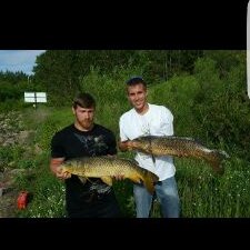 Profile Picture of Aaron Washburn (@AaronWashburn8) on Twitter