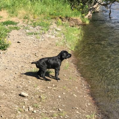 Profile Picture of Josh Briscoe (@josh19841288) on Twitter