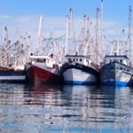 Profile Picture of Raquel Nevarez (@raquel.nevarez.756) on Instagram