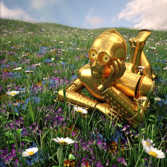 Profile Picture of Lauren Tuosto (@laurentuosto) on Poshmark