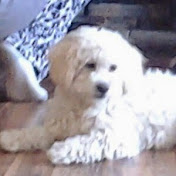 Profile Picture of Joey Brooks (@joeybrooks3381) on Youtube