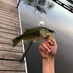 Profile Picture of Marcus Holm Fishing (@marcusholmfishing) on Instagram